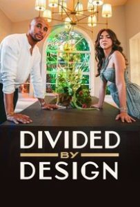 Divided by Design